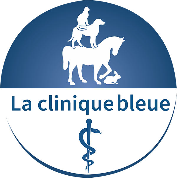 Logo La Clinique Bleue