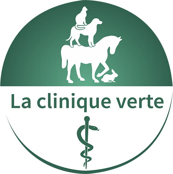 Logo La Clinique Verte